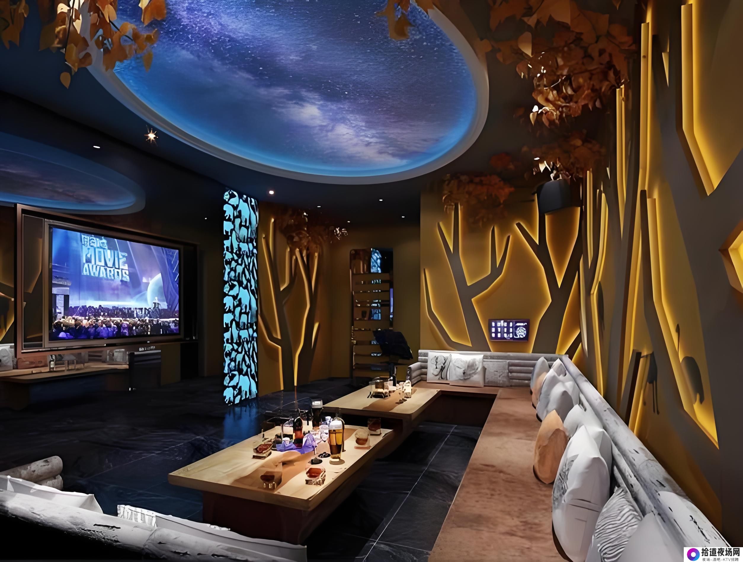 深圳KTV消费指南2023：荤素场价格解析及建议